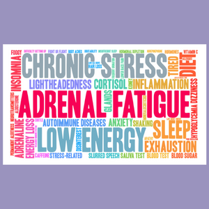 Adrenal Fatigue & How to Recover